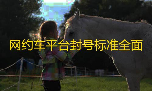 第五人格寂静直装下载网约车平台封号标准全面解析：从口碑值到外挂打击